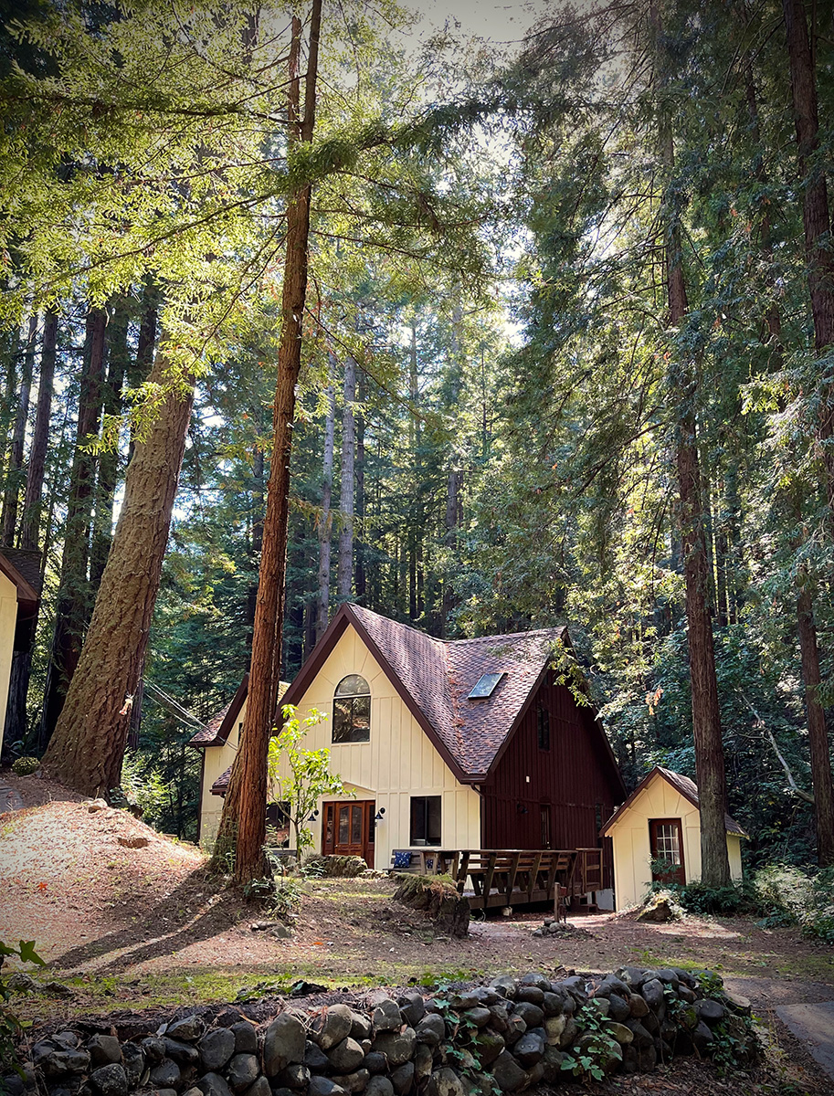 14251-House-tall-1