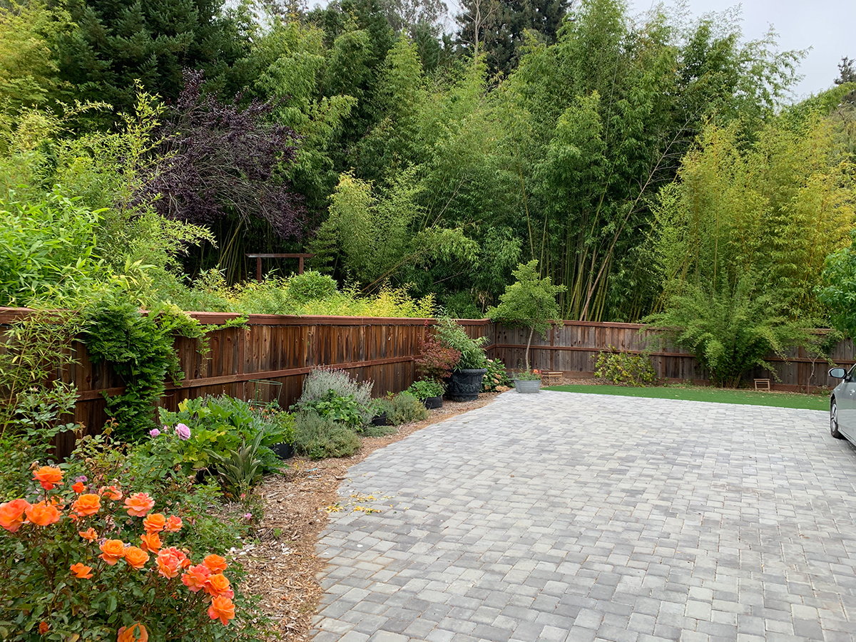 Parking area surrounded by mature plantings.