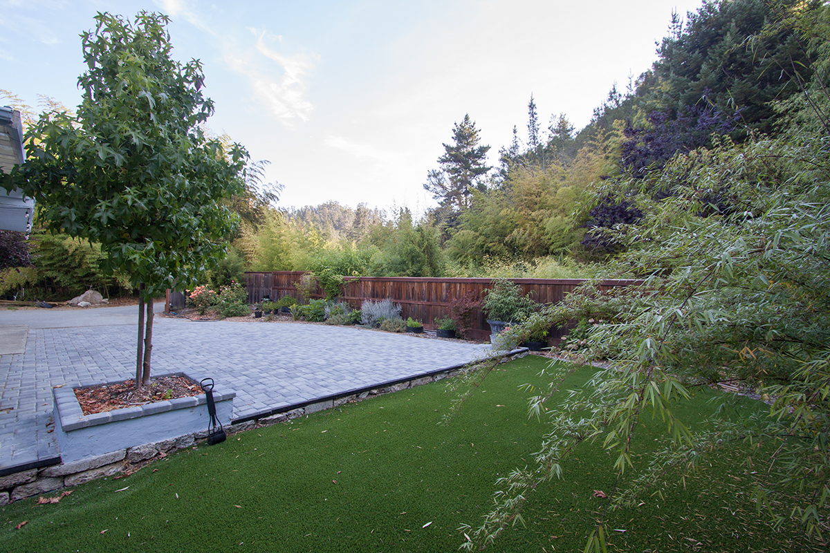 Another view of the yard.