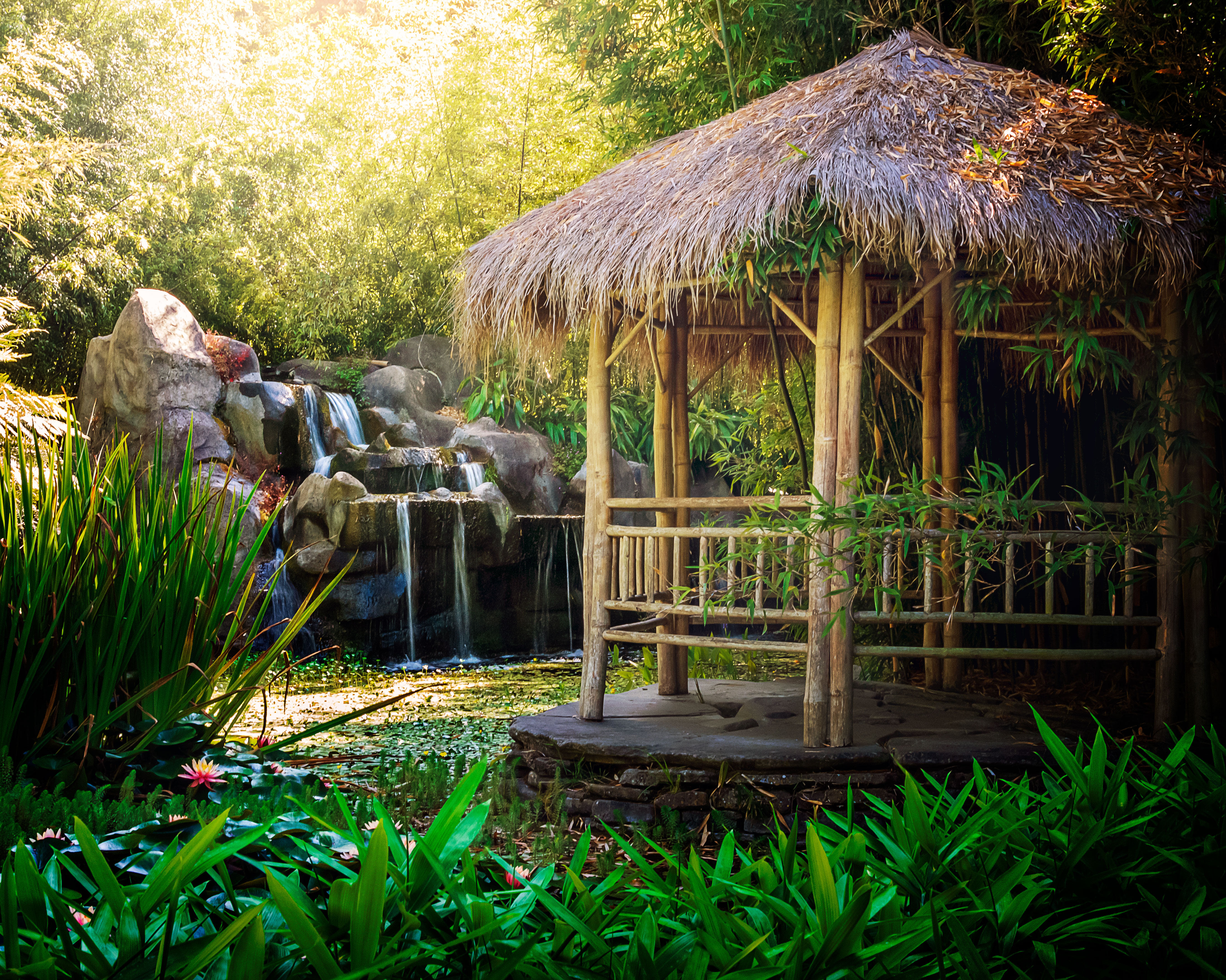 Koi Pond on the property