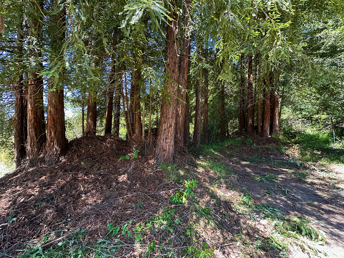 Lot 2 — building site view 3