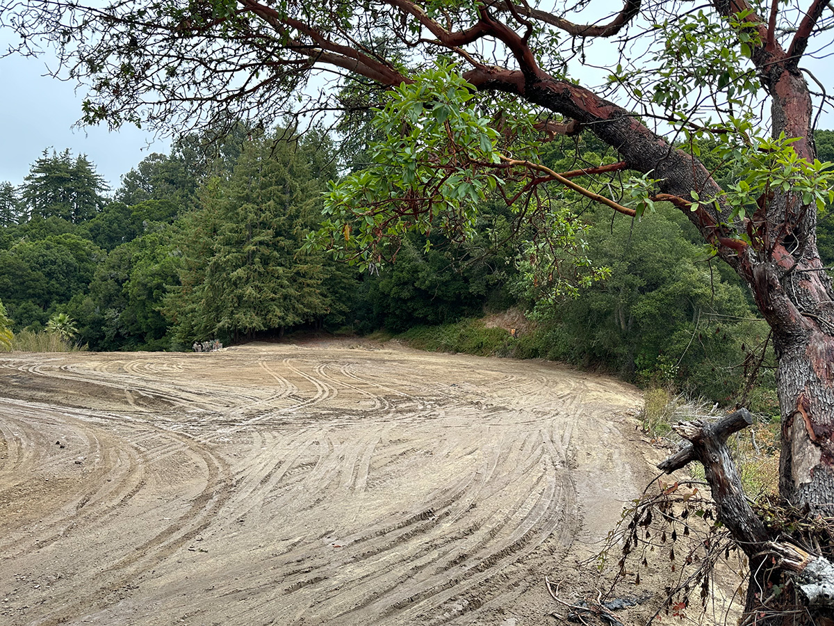 Upper third outlook (view 1)