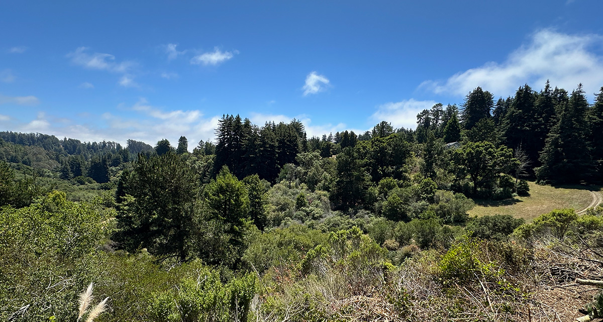 Lot 3 — building site view 1