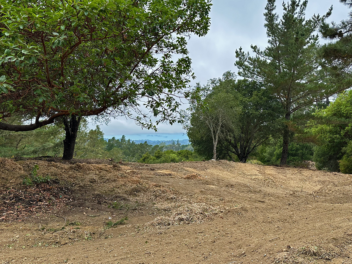 Lot 4 — building site view 1