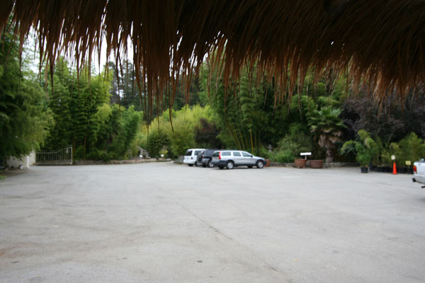 View from the front door; covered parking for one car; opens to nursery lot.