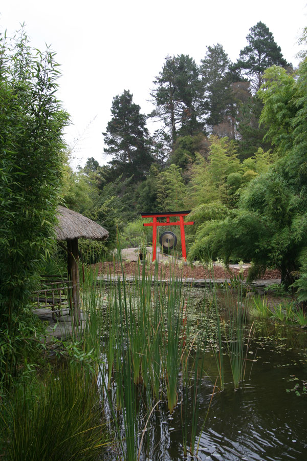 Koi pond across the parking area.