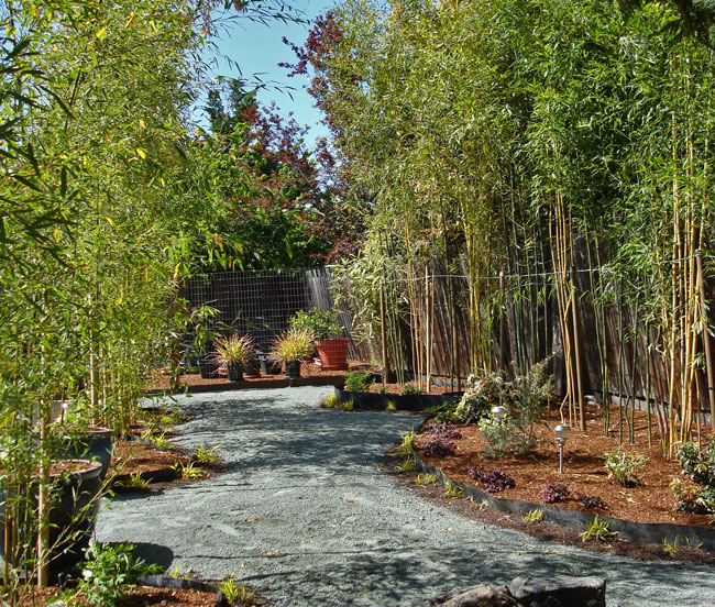 Retail privacy hedge installation