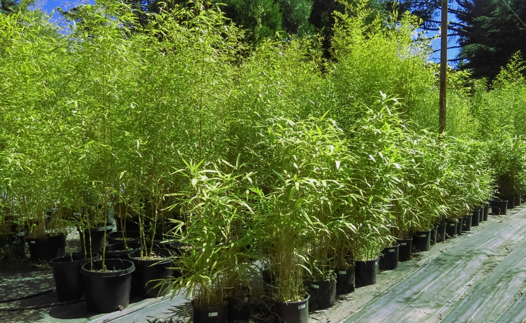 Hardgoods and warehouse materials